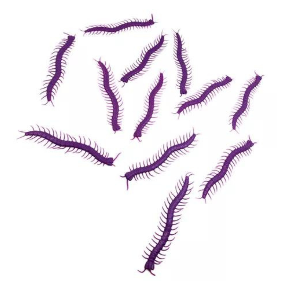 Cien Pies Pack X 12u Gusanos