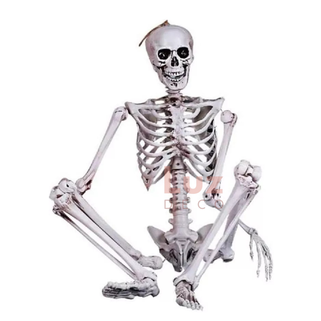 Esqueleto Articulado 1.5mts