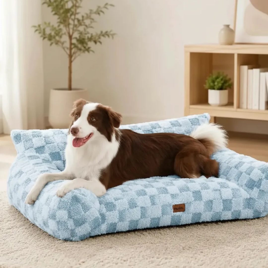 Cama De Espuma Para Perro Grande